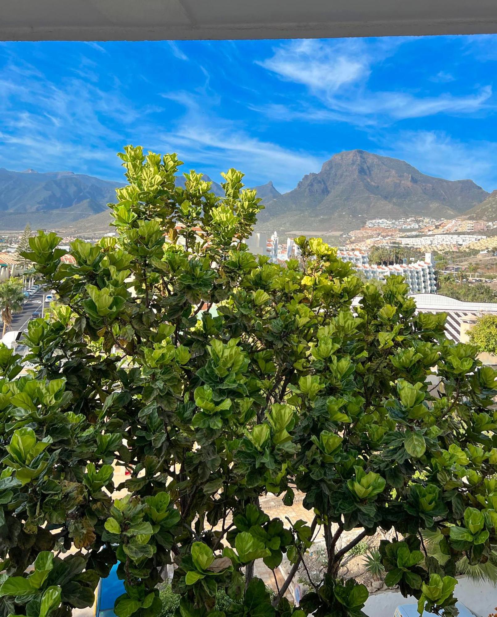 Tenerife Paradise Anna Studio Costa Adeje Dış mekan fotoğraf